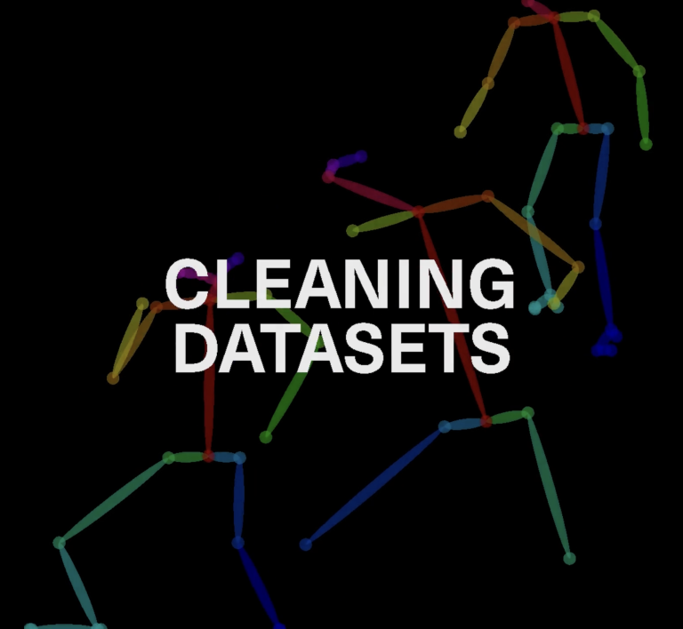 CLEANING DATASETS