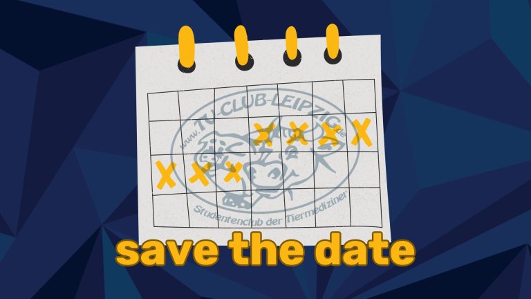 save the date.jpg